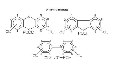 ダイオキシン類(るい)の害(がい)