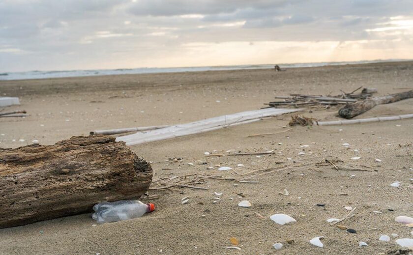 プラスチック問題への日本の取り組み