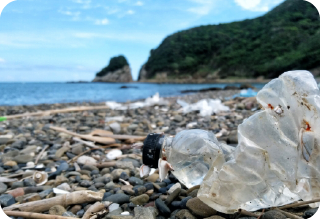 海のごみ