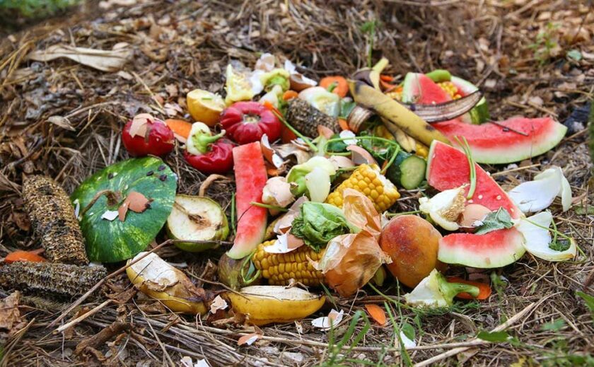 食品のリサイクル