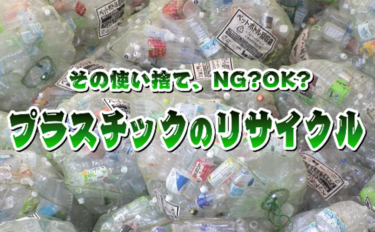 その使い捨て、NG？OK？プラスチックのリサイクル