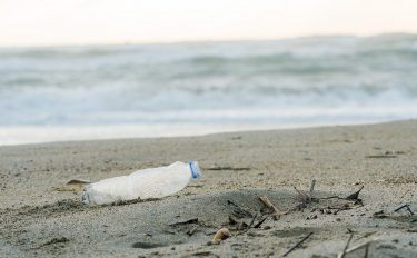 マイクロプラスチックってなに？どうして環境に悪いの？わかりやすく解かい説せつします！