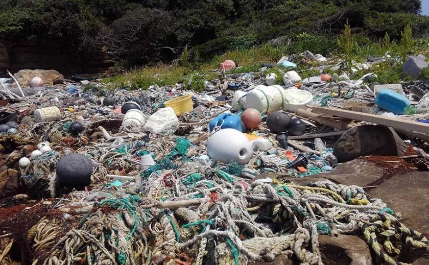 対策が急がれる海洋プラスチック問題。私たちにできることは？