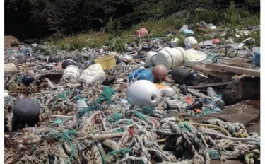 海を汚よごす海洋プラスチックごみ。その現状げんじょうと対策をわかりやすく解説かいせつします！