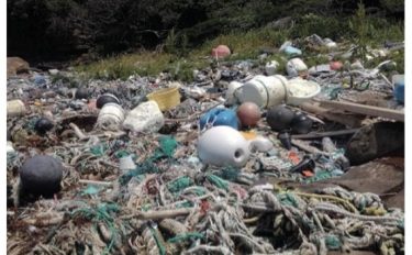 対策が急がれる海洋プラスチック問題。私たちにできることは？