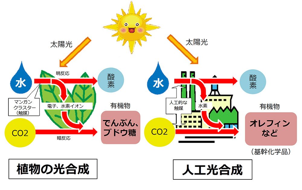 人工光合成の概念