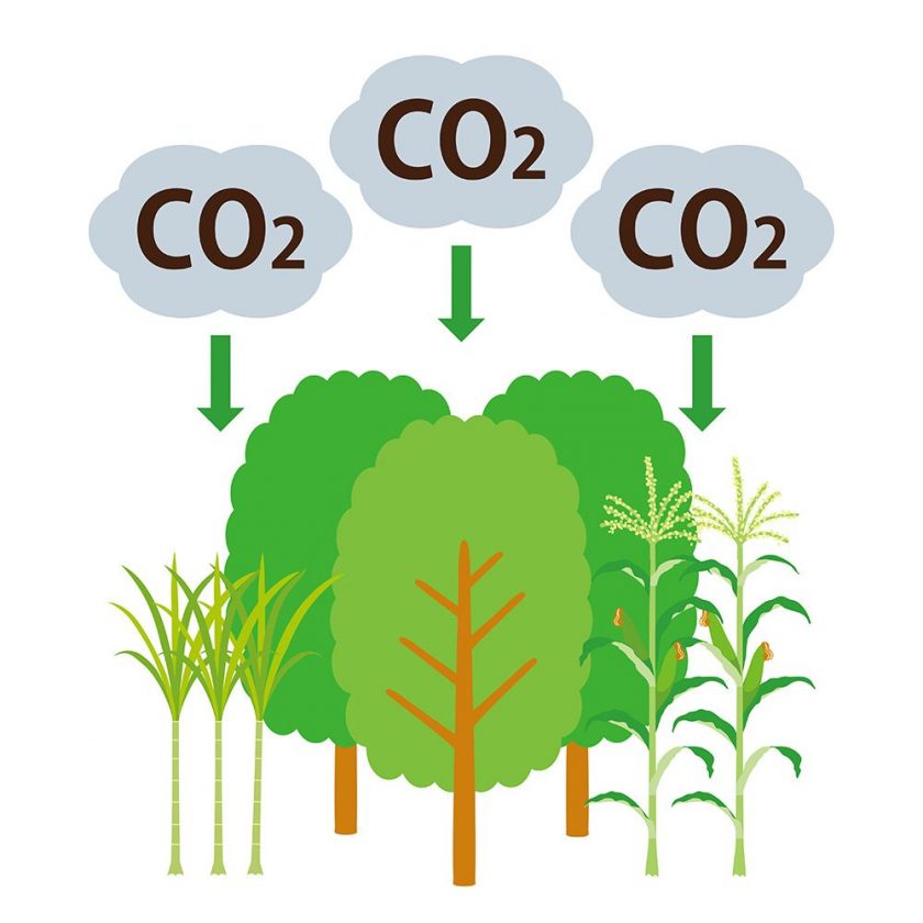 CO2の絵